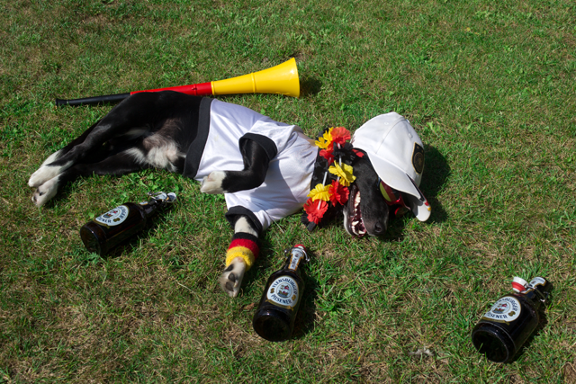 G dog drunken
